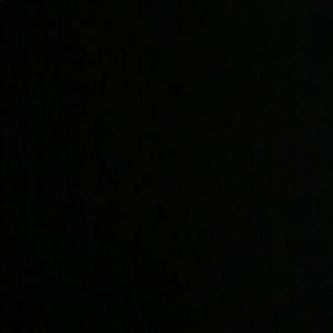 Meet your Posher, Ronnie